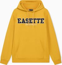 EA7 Train Logo Series M Hoodie RN BR - Train Logo Series M Hoodie RN BR