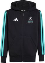 adidas Mercedes - AMG Petronas Formula 1 Team DNA Full Zip Hoody