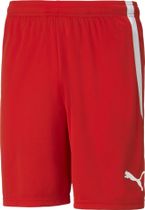 Puma Teamliga Shorts Men's Running Shorts