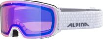 Alpina Nakiska Q Unisex Skibrille