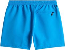 Vans Primary II Elastic Boardshort