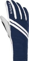 Daehlie Glove Cross Herren Langlaufhandschuhe
