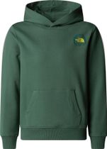 Boys Graphic Relaxed Hoodie