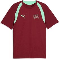 Puma SFV Training Jersey Herren Laufshirt