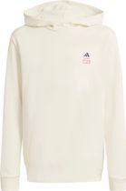 adidas Adidas Marvel Spider-man Hooded Sweat