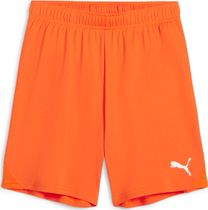 Puma Teamgoal Shorts Herren Laufshorts