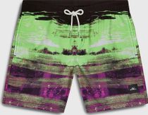 O'neill Cali Gradient 14" Swimshorts