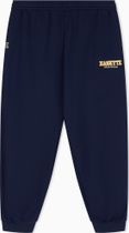 EA7 Train Logo Series M Pants CH BR - Train Logo Series M Pants CH BR Herren Lauf- & Trainingshose