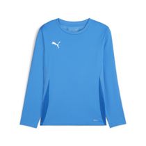 Teamgoal LS Jersey Jr