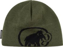 Tweak Beanie