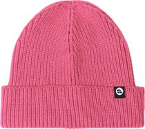 Protest Prtchapters TD Beanie