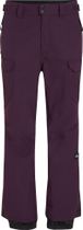 Utility Pro Regular Snow Pants