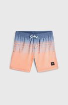 O'Neill O'neill Logo Stripe Swimshorts Jungen Bademode
