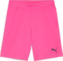 Puma Teamgoal Shorts Herren Laufshorts