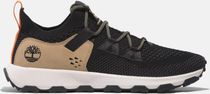 Mens Low Lace UP Sneaker
