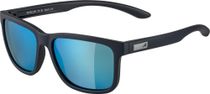 Alpina Burst Bike Eyewear