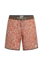 O'Neill Cruzer Scallop 18