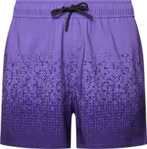 Sand Pixel RC 16" Beachshort