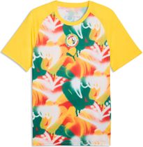 Puma FSF Warm Up Jersey