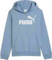 Essentials No. 1 Logo Hoodie FL G