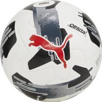 Puma Orbita 2 TB (fifa Quality Pro)