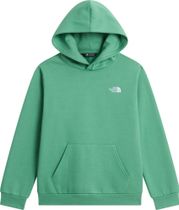 The North Face Teen Evolution Simple Dome Pullover Hood