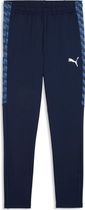 Puma teamLIGA26 Training Pants+ Men's training and running pants