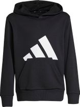 adidas Essentials Hoodie Junior Boys and Girls