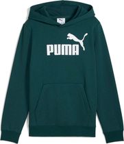 Essentials No. 1 Logo Hoodie FL B