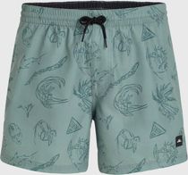 MIX & Match Cali Print 15'' Swim Shorts