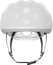 Ventral Tempus Mips