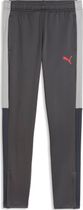 Puma Individualliga Training Pants Jr