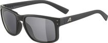 Alpina Kosmic Bike Eyewear