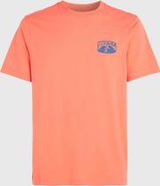O'neill Beach Graphic T-shirt