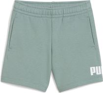 Essentials No. 1 Logo Shorts TR PS
