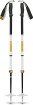 Traverse Pro Ski Poles