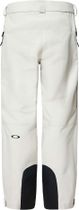 Oakley Bowls Gore-tex Shell Pant Herren Freeskihose
