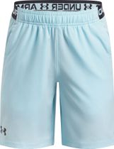 Vanish Shorts