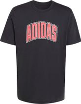 adidas Stadium Collegiate Graphic T-shirt