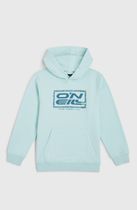 O'neill Logo Hoodie
