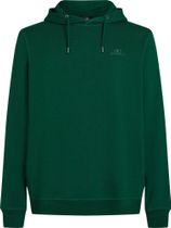 O'neill Small Logo Hoodie