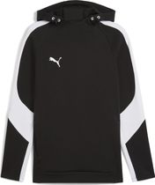 Teamevostripe Hoody