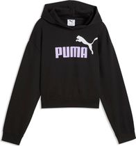 Puma Essentials 2 Color No 1 Logo Hoodie FL B