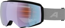 Alpina Granby 2 S Q Unisex Skibrille