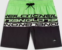 O'neill Cali Stripe 14" Swimshorts