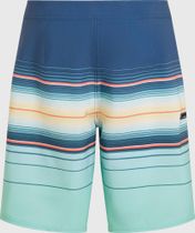 Hyperfreak Heat Stripe 21" Boardshorts