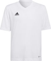 Entrada 22 Jersey