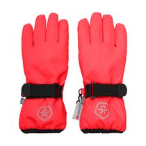 Gloves Waterproof 742488