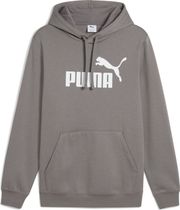 Essentials No. 1 Logo Hoodie FL (s)