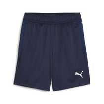 Teamgoal Training Short Jr